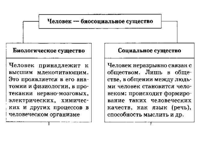 План по обществознанию человек биосоциальное существо