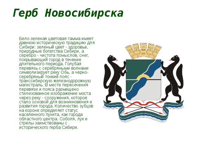 Социальный проект "Моя малая Родина - Новосибирск"