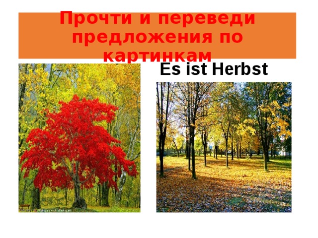 Прочти и переведи предложения по картинкам Es ist Herbst 