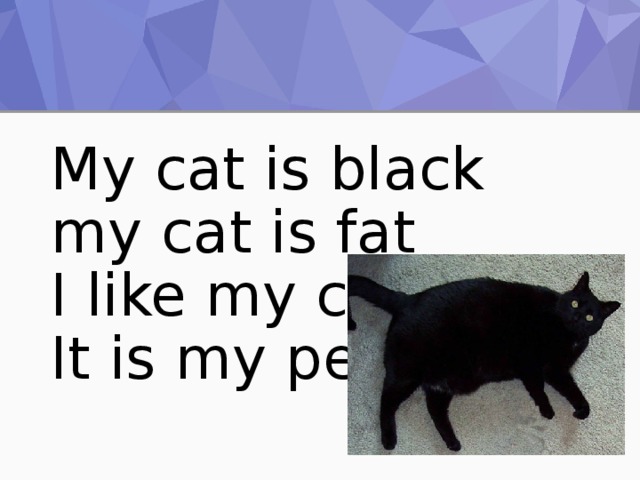 My cat is black  my cat is fat  I like my cat  It is my pet 