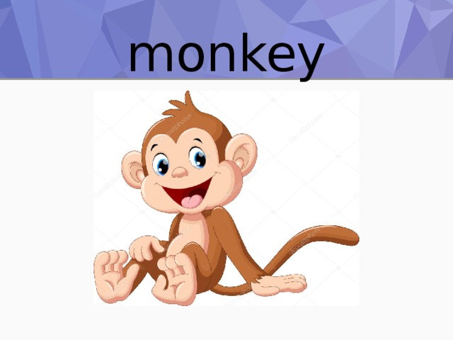 monkey 