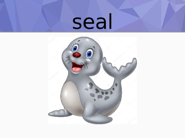 seal 