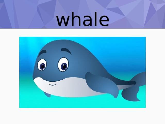 whale 