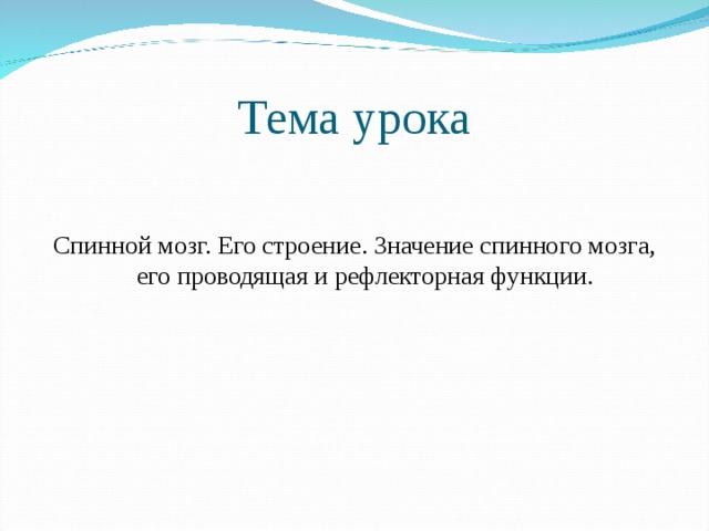 Тема урока Спинной мозг. Его строение. Значение спинного мозга, его проводящая и рефлекторная функции.