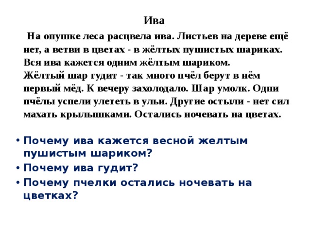 Ива  На опушке леса расцвела ива. Листьев на дереве ещё нет, а ветви в цветах - в жёлтых пушистых шариках. Вся ива кажется одним жёлтым шариком.   Жёлтый шар гудит - так много пчёл берут в нём первый мёд. К вечеру захолодало. Шар умолк. Одни пчёлы успели улететь в ульи. Другие остыли - нет сил махать крылышками. Остались ночевать на цветах. Почему ива кажется весной желтым пушистым шариком? Почему ива гудит? Почему пчелки остались ночевать на цветках? 