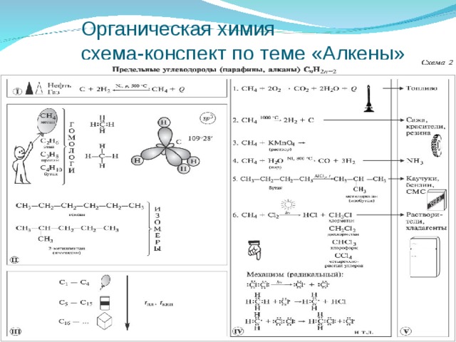 Органическая химия  схема-конспект по теме «Алкены» 