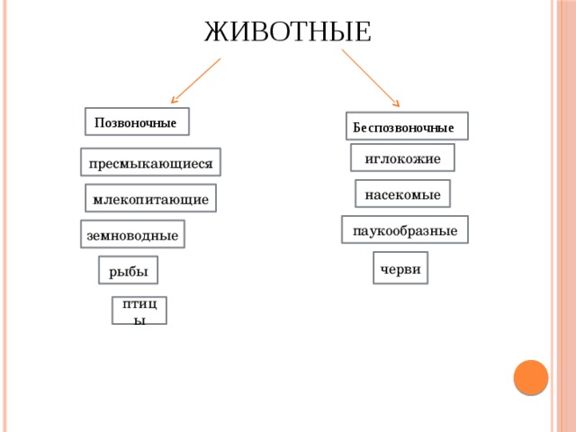 Кластер документ