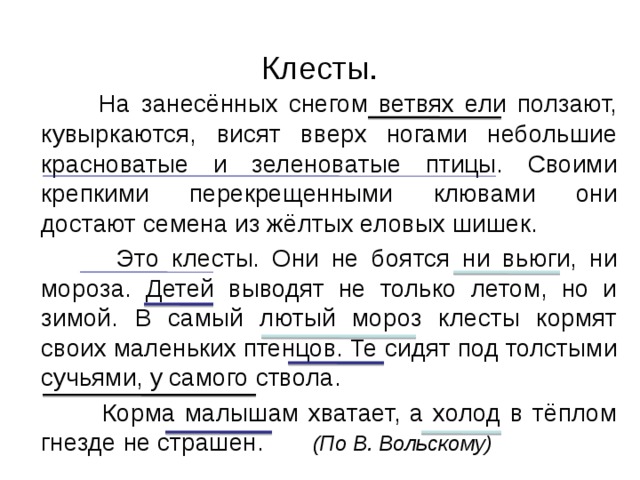 Обучающее изложение 3 класс клесты презентация 3 класс