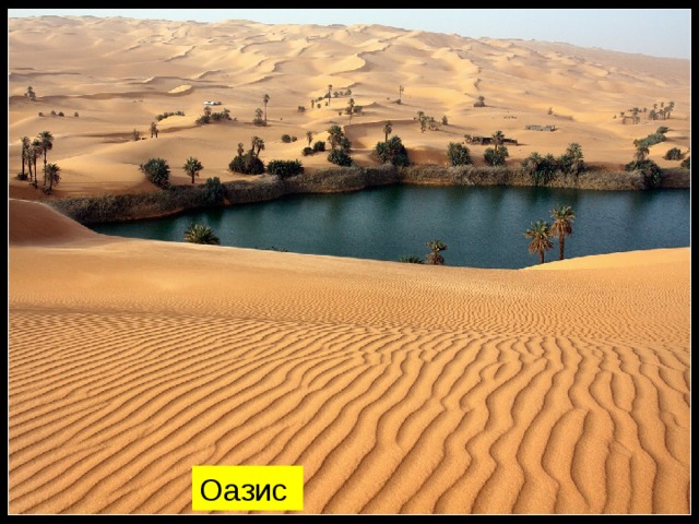 Оазис 