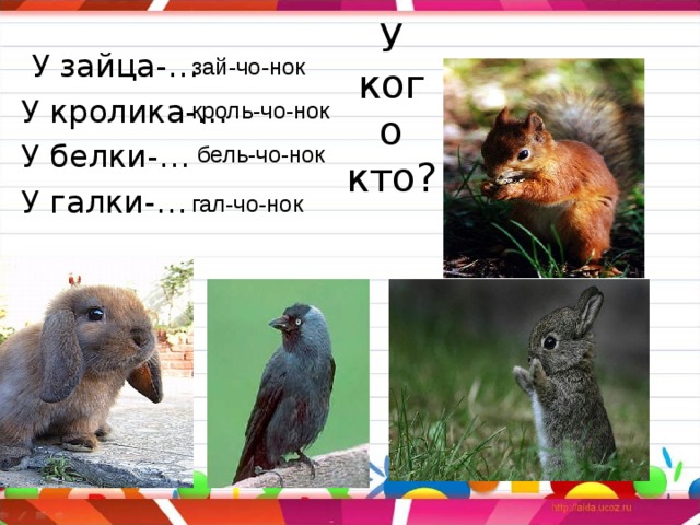  У зайца-… У кролика-… У белки-… У галки-… зай-чо-нок У кого кто?    кроль-чо-нок бель-чо-нок гал-чо-нок 