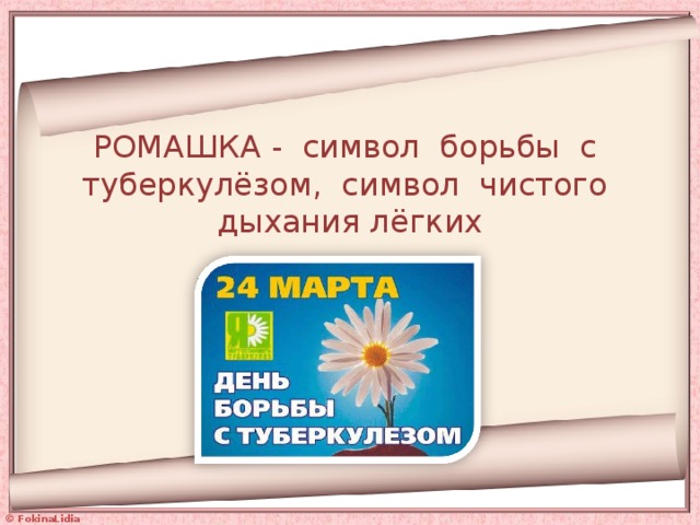 РОМАШКА - символ борьбы с туберкулёзом, символ чистого дыхания лёгких 