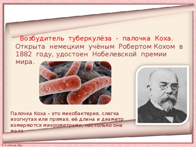   Возбудитель туберкулёза - палочка Коха. Открыта немецким учёным Робертом Кохом в 1882 году, удостоен Нобелевской премии мира.   Палочка Коха – это микобактерия, слегка изогнутая или прямая, её длина и диаметр измеряются микрометрами, настолько она мала. 