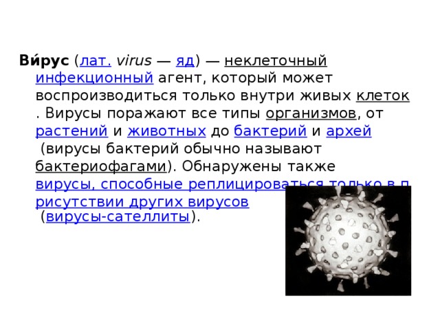 Virus data. Доклад о вирусах 5 класс биология. Рассказ о вирусах по биологии 5 класс. Вирусы 5 класс. Сообщение о вирусах 5 класс.