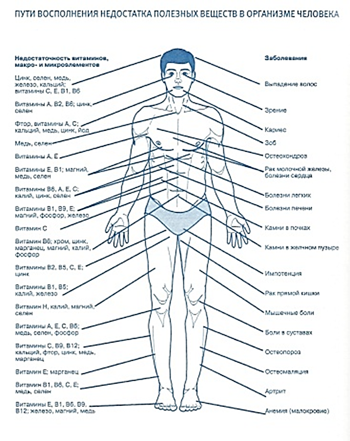 Карта человека. Дефицит витаминов и минералов в организме. Недостаток витаминов и микроэлементов. Нехватка витаминов в организме человека. Дефициты витаминов и микроэлементов.