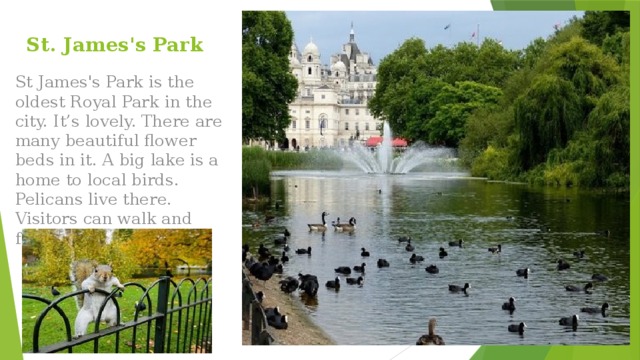 St. James's Park St James's Park is the oldest Royal Park in the city. It’s lovely. There are many beautiful flower beds in it. A big lake is a home to local birds. Pelicans live there. Visitors can walk and feed squirrels as well. 