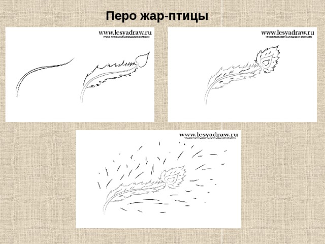 Как нарисовать перо птицы поэтапно жар