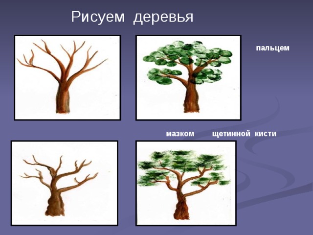 Рисуем деревья  пальцем мазком щетинной кисти  