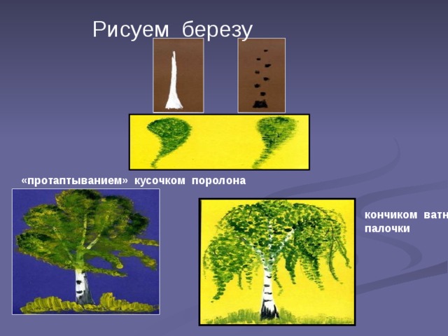 Рисуем березу «протаптыванием» кусочком поролона кончиком  ватной  палочки 