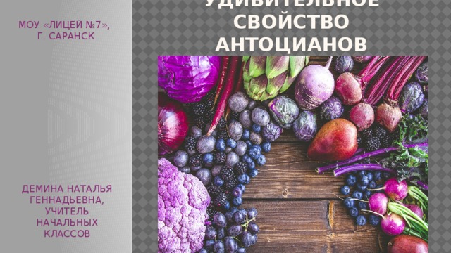 УДИВИТЕЛЬНОЕ СВОЙСТВО  АНТОЦИАНОВ МОУ «ЛИЦЕЙ №7», Г. САРАНСК ДЕМИНА НАТАЛЬЯ ГЕННАДЬЕВНА, УЧИТЕЛЬ НАЧАЛЬНЫХ КЛАССОВ 