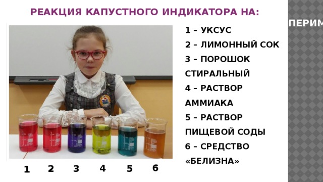 РЕАКЦИЯ КАПУСТНОГО ИНДИКАТОРА НА: ЭКСПЕРИМЕНТ 1 – УКСУС 2 – ЛИМОННЫЙ СОК 3 – ПОРОШОК СТИРАЛЬНЫЙ 4 – РАСТВОР АММИАКА 5 – РАСТВОР ПИЩЕВОЙ СОДЫ 6 – СРЕДСТВО «БЕЛИЗНА» 6 4 2 3 5 1 