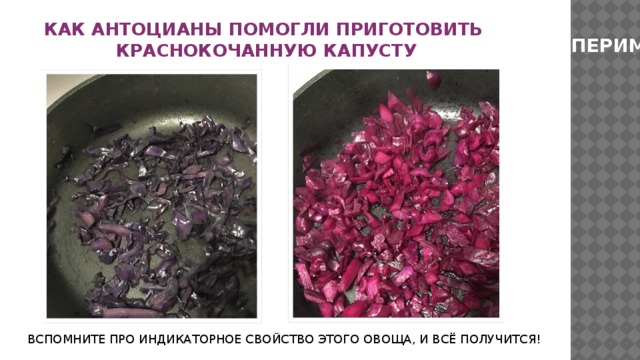 КАК АНТОЦИАНЫ ПОМОГЛИ ПРИГОТОВИТЬ КРАСНОКОЧАННУЮ КАПУСТУ ЭКСПЕРИМЕНТ ВСПОМНИТЕ ПРО ИНДИКАТОРНОЕ СВОЙСТВО ЭТОГО ОВОЩА, И ВСЁ ПОЛУЧИТСЯ! 