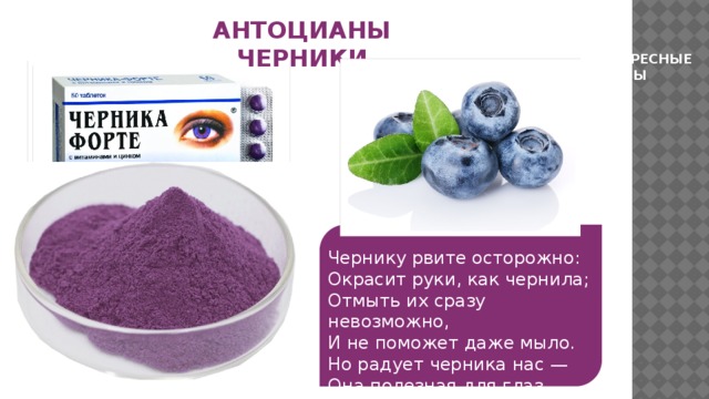 АНТОЦИАНЫ ЧЕРНИКИ ИНТЕРЕСНЫЕ ФАКТЫ Чернику рвите осторожно:  Окрасит руки, как чернила;  Отмыть их сразу невозможно,  И не поможет даже мыло.  Но радует черника нас —   Она полезная для глаз 