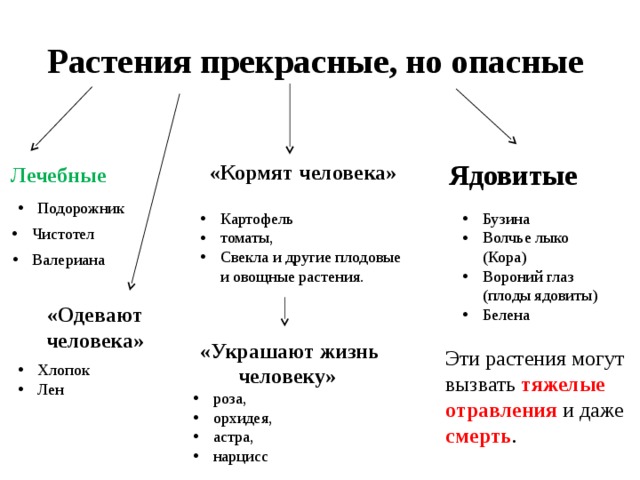 Распределение растений по группам