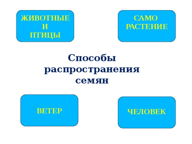 Природа и человек 2 класс школа 21 века презентация