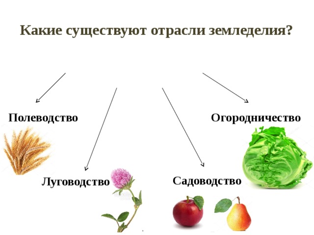 Заполни схему земледелие окружающий мир 3 класс виноградова