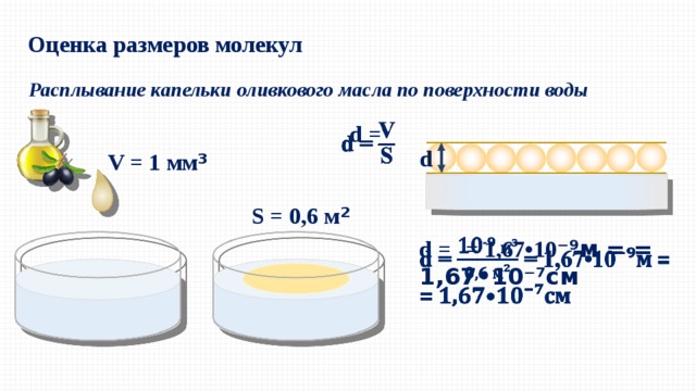 Какую площадь может занять капля оливкового масла