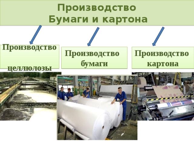 Сырье которое используется для производства целлюлозы. Производство бумаги. Современное производство бумаги. Изготовление бумаги и картона. Завод бумаги.
