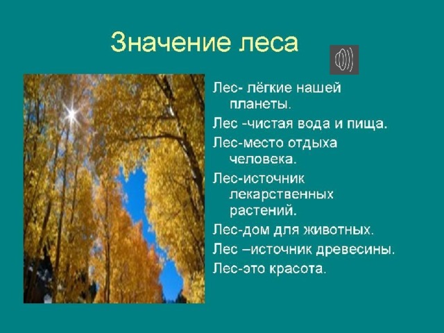 Презентация по теме "Этажи леса"