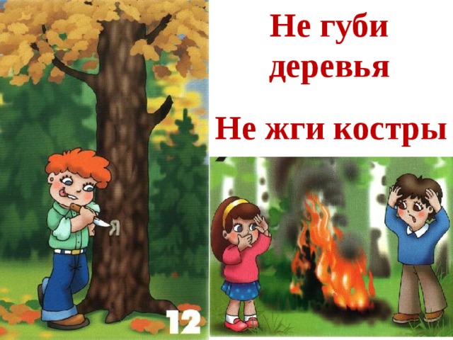 Не губите лес рисунок