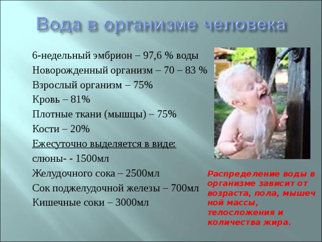 6-недельный эмбрион – 97,6 % воды Новорожденный организм – 70 – 83 % Взрослый организм – 75% Кровь – 81% Плотные ткани (мышцы) – 75% Кости – 20% Ежесуточно выделяется в виде: слюны- - 1500мл Желудочного сока – 2500мл Сок поджелудочной железы – 700мл Кишечные соки – 3000мл Распределение воды в организме зависит от возраста, пола, мышеч­ной массы, телосложения и количества жира. 