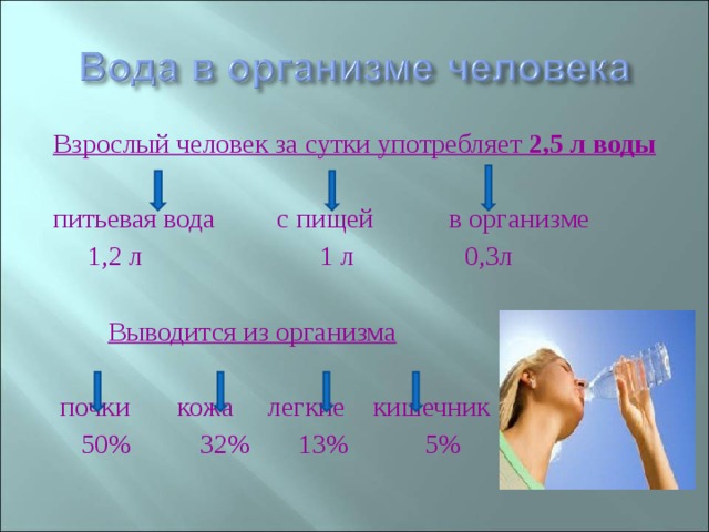 Взрослый человек за сутки употребляет 2,5 л воды питьевая вода с пищей в организме  1,2 л 1 л 0,3л  Выводится из организма  почки кожа легкие кишечник  50% 32% 13% 5%  