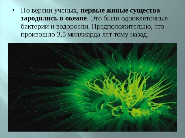 По версии ученых, первые живые существа зародились в океане . Это были одноклеточные бактерии и водоросли. Предположительно, это произошло 3,5 миллиарда лет тому назад. 