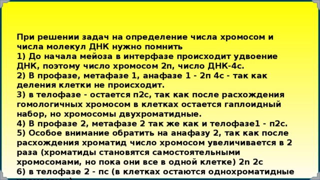 При решении задач на определение числа хромосом и числа молекул ДНК нужно помнить 1) До начала мейоза в интерфазе происходит удвоение ДНК, поэтому число хромосом 2п, число ДНК-4с. 2) В профазе, метафазе 1, анафазе 1 - 2п 4с - так как деления клетки не происходит. 3) в телофазе - остается п2с, так как после расхождения гомологичных хромосом в клетках остается гаплоидный набор, но хромосомы двухроматидные. 4) В профазе 2, метафазе 2 так же как и телофазе1 - п2с. 5) Особое внимание обратить на анафазу 2, так как после расхождения хроматид число хромосом увеличивается в 2 раза (хроматиды становятся самостоятельными хромосомами, но пока они все в одной клетке) 2n 2с 6) в телофазе 2 - пс (в клетках остаются однохроматидные хромосомы). 