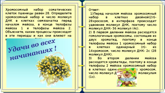 Хромосомный набор соматических клеток пшеницы равен 28. Определите хромосомный набор и число молекул ДНК в клетках семязачатка перед началом мейоза, в конце телофазы мейоза 1 и телофазы мейоза 2. Объясните, какие процессы происходят в эти периоды и как они влияют на изменения числа ДНК и хромосом. Ответ:  1)Перед началом мейоза хромосомный набор в клетках двойной(2п)-28хрососом, в интерфазе происходит удвоение молекул ДНК, поэтому число молекул ДНК- 56 молекул (4с). 2) В первом делении мейоза расходятся гомологичные хромосомы, состоящие из двух хроматид, поэтому в конце телофазы мейоза 1 хромосомный набор в клетках одинарный (п)- из 14хромосом, число молекул ДНК- 2с (28 молекул ДНК). 3) Во втором делении мейоза расходятся хроматиды, поэтому в конце телофазы 2 мейоза хромосомный набор в клетках одинарный (п)-14 хромосом, число молекул ДНК равно 14 молекулам (1с). 