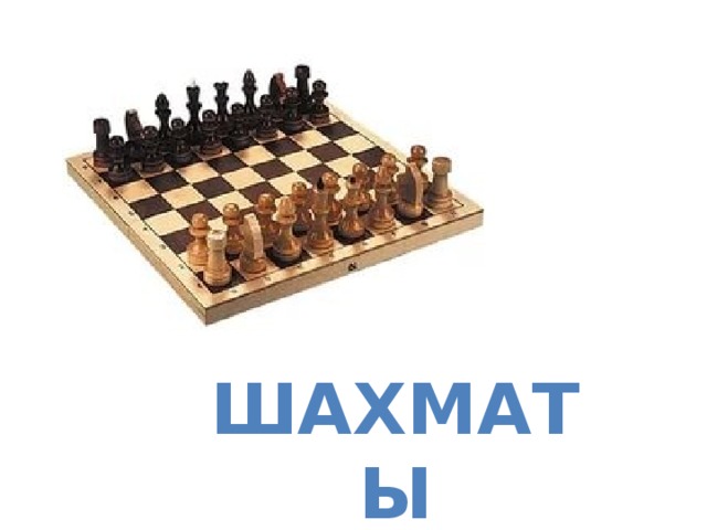 Шахматы 