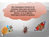 Конспект урока с презентацией 1 класс кто такие насекомые 1 класс