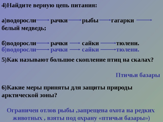 Какие схемы питания можно составить из этих живых существ рачки сайка кайра белый медведь тюлень