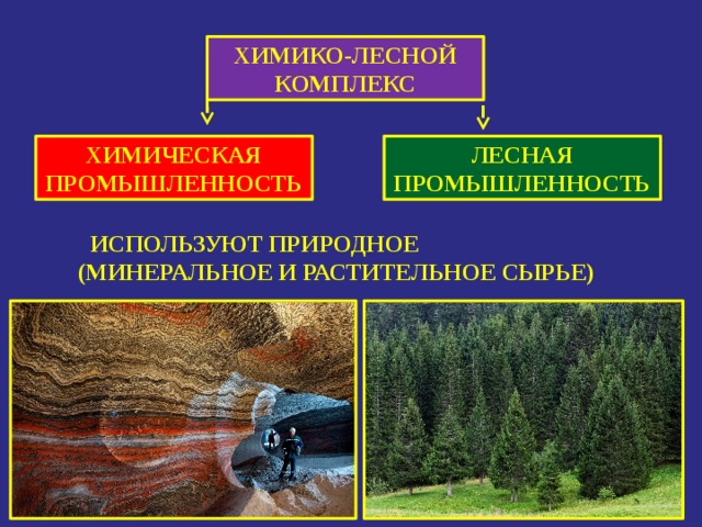 Химико лесной комплекс география. Химико-Лесной комплекс. Химическая промышленность. Химико-Лесной комплекс России продукция. Химико Лесная промышленность. Сырье лесного комплекса.