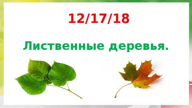 Лиственные деревья презентация. Урок Природоведение 5 класс лиственные деревья.