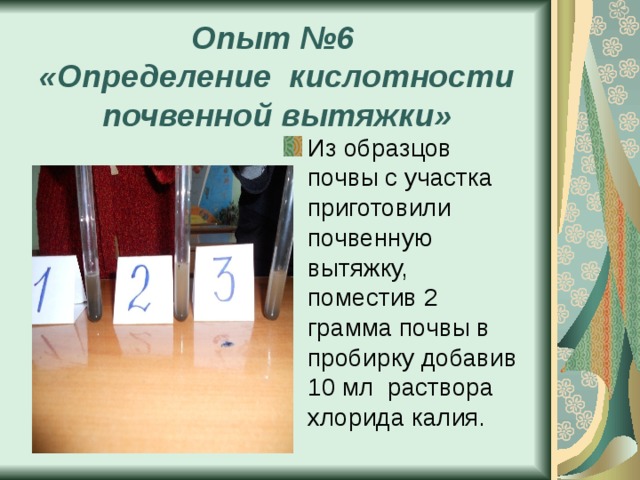 Опыт №6  «Определение кислотности почвенной вытяжки» Из образцов почвы с участка приготовили почвенную вытяжку, поместив 2 грамма почвы в пробирку добавив 10 мл раствора хлорида калия. 