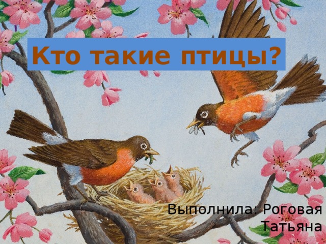 Кто такие птицы. Кто такие птички картинки. Кто э такие птички. Такие с птичкой. Кто моя птичка.