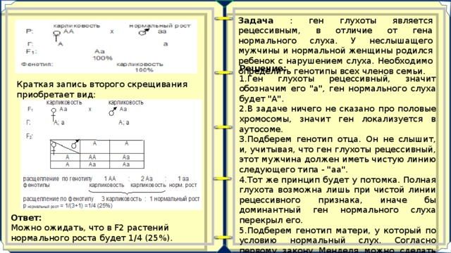 У человека ген нормального слуха