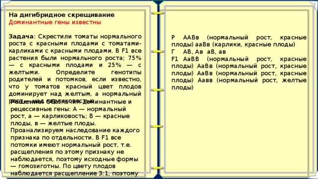 У томатов ген который дает красный цвет