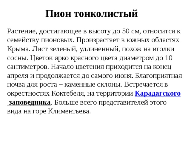 Пион тонколистый Растение, достигающее в высоту до 50 см, относится к семейству пионовых. Произрастает в южных областях Крыма. Лист зеленый, удлиненный, похож на иголки сосны. Цветок ярко красного цвета диаметром до 10 сантиметров. Начало цветения приходится на конец апреля и продолжается до самого июня. Благоприятная почва для роста – каменные склоны. Встречается в окрестностях Коктебеля, на территории  Карадагского заповедника . Больше всего представителей этого вида на горе Климентьева. 