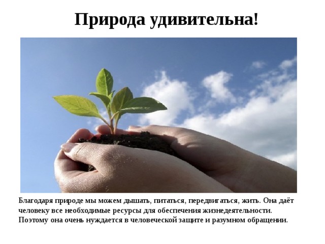  Природа удивительна! Благодаря природе мы можем дышать, питаться, передвигаться, жить. Она даёт человеку все необходимые ресурсы для обеспечения жизнедеятельности. Поэтому она очень нуждается в человеческой защите и разумном обращении.  