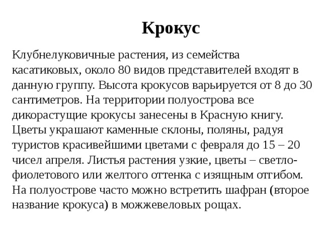 Крокус Клубнелуковичные растения, из семейства касатиковых, около 80 видов представителей входят в данную группу. Высота крокусов варьируется от 8 до 30 сантиметров. На территории полуострова все дикорастущие крокусы занесены в Красную книгу. Цветы украшают каменные склоны, поляны, радуя туристов красивейшими цветами с февраля до 15 – 20 чисел апреля. Листья растения узкие, цветы – светло-фиолетового или желтого оттенка с изящным отгибом. На полуострове часто можно встретить шафран (второе название крокуса) в можжевеловых рощах. 